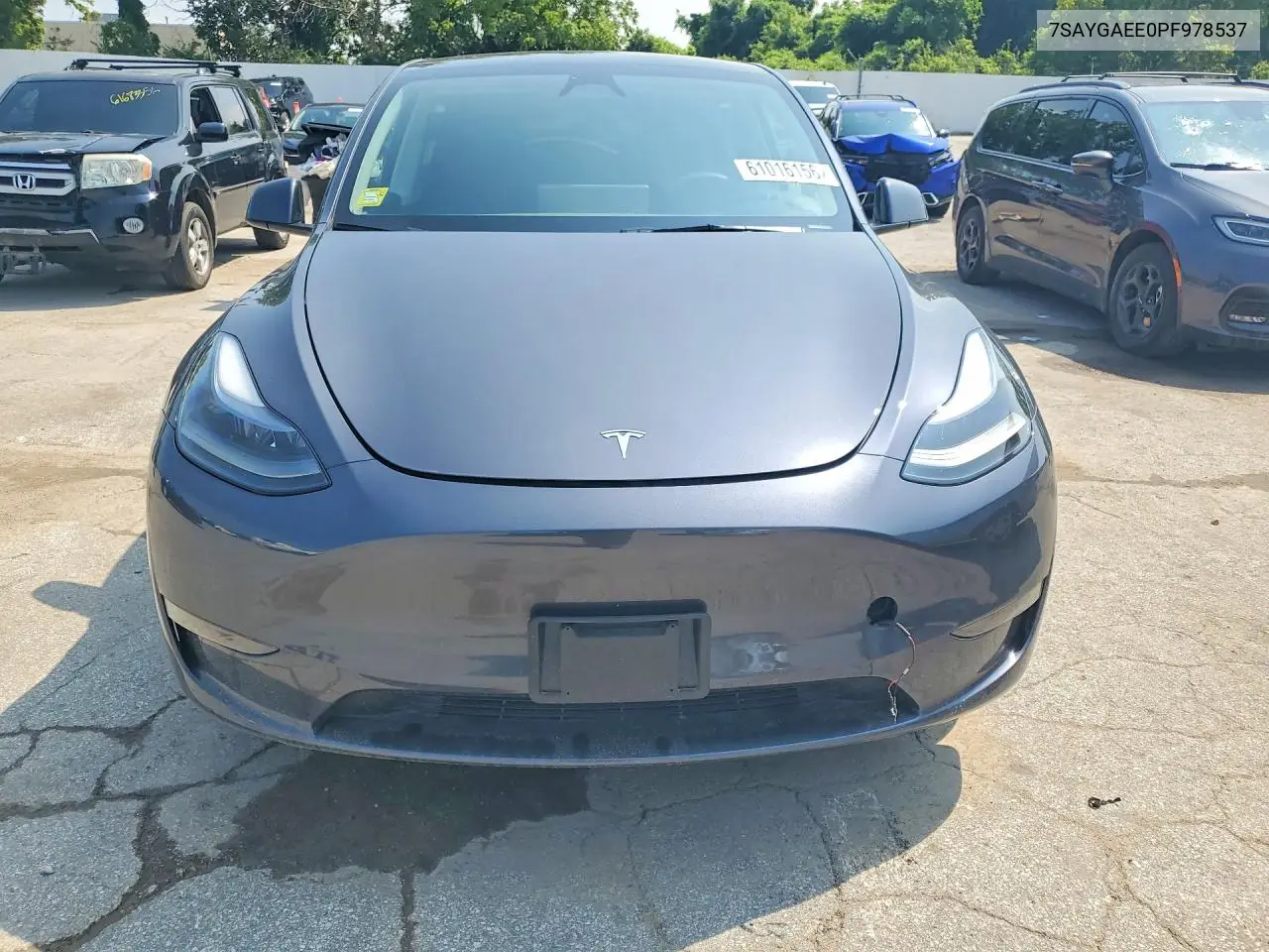 2023 Tesla Model Y VIN: 7SAYGAEE0PF978537 Lot: 61016156