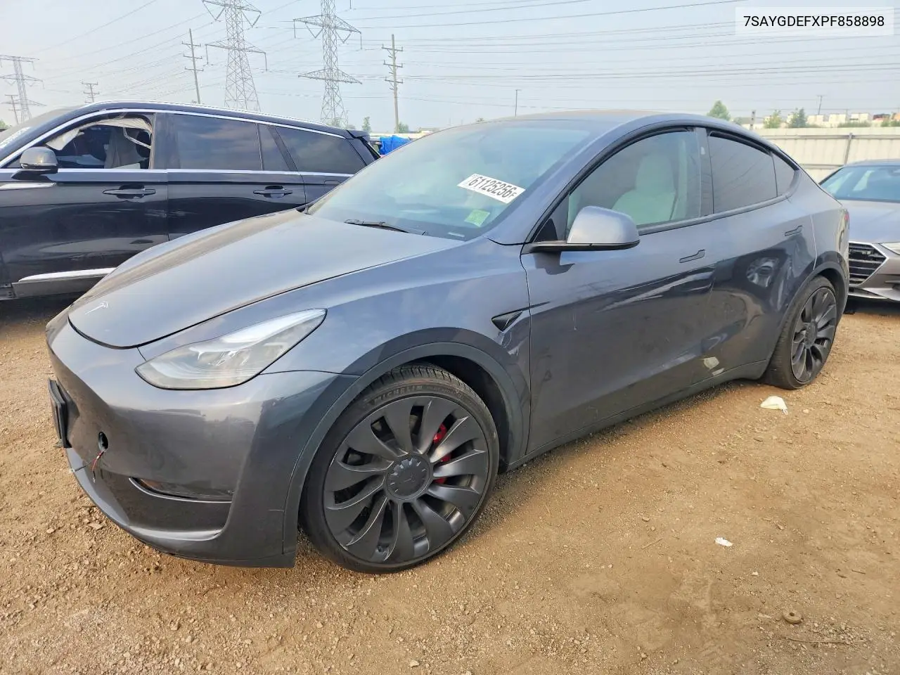 2023 Tesla Model Y VIN: 7SAYGDEFXPF858898 Lot: 61125256