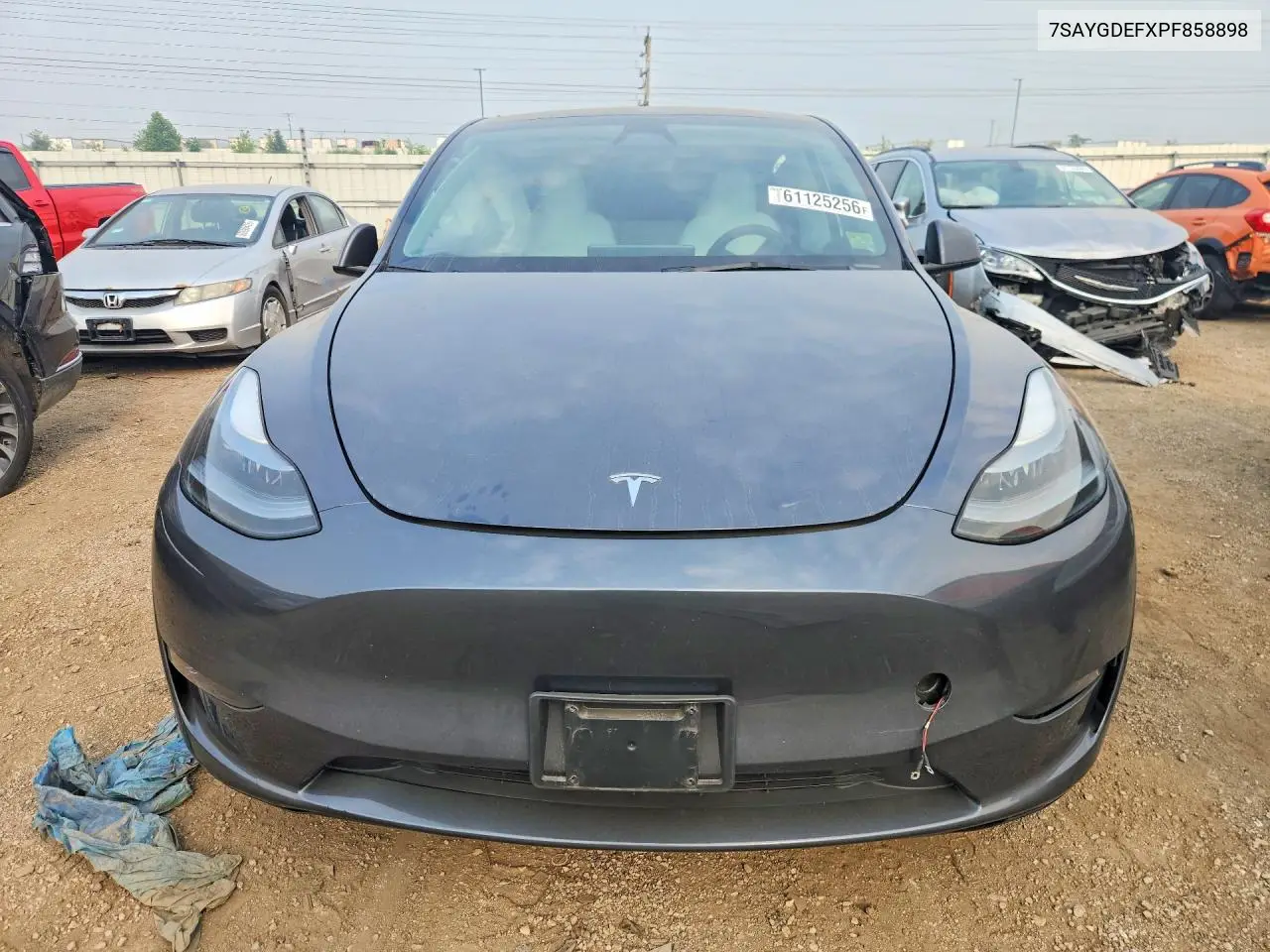 2023 Tesla Model Y VIN: 7SAYGDEFXPF858898 Lot: 61125256
