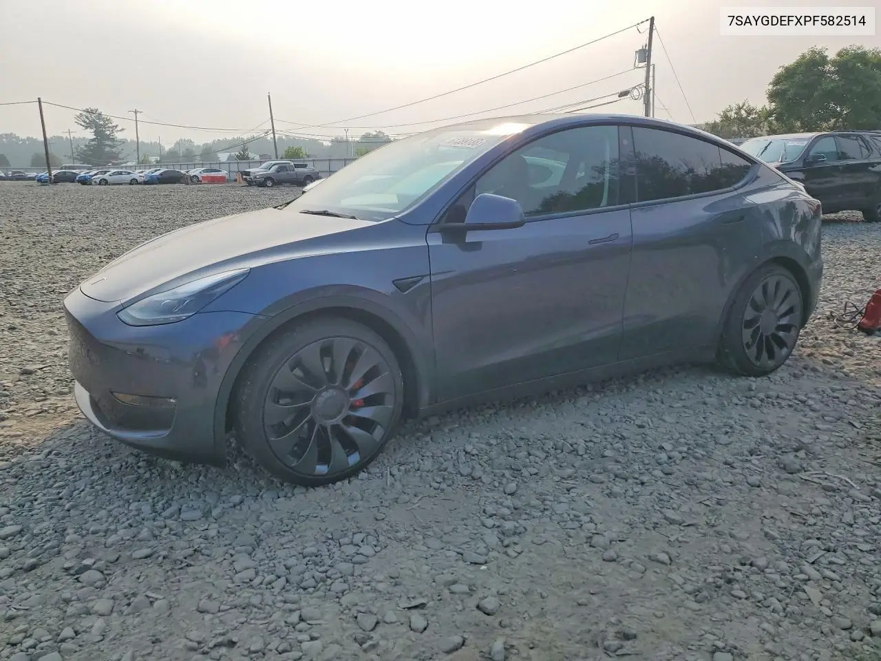 2023 Tesla Model Y VIN: 7SAYGDEFXPF582514 Lot: 61389186