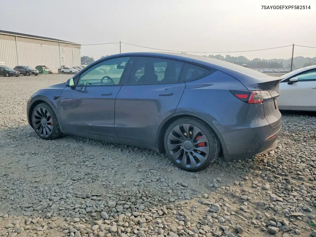 2023 Tesla Model Y VIN: 7SAYGDEFXPF582514 Lot: 61389186