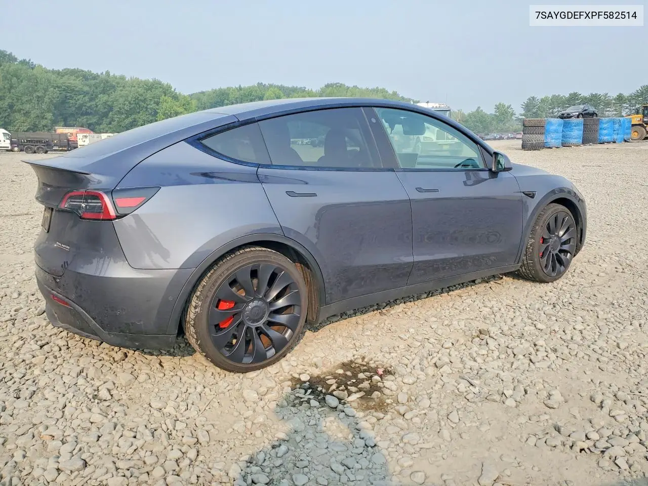 2023 Tesla Model Y VIN: 7SAYGDEFXPF582514 Lot: 61389186