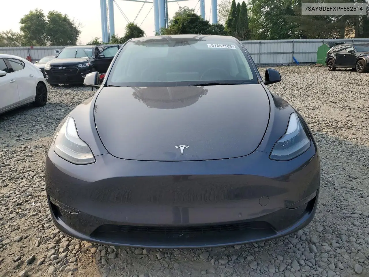 2023 Tesla Model Y VIN: 7SAYGDEFXPF582514 Lot: 61389186