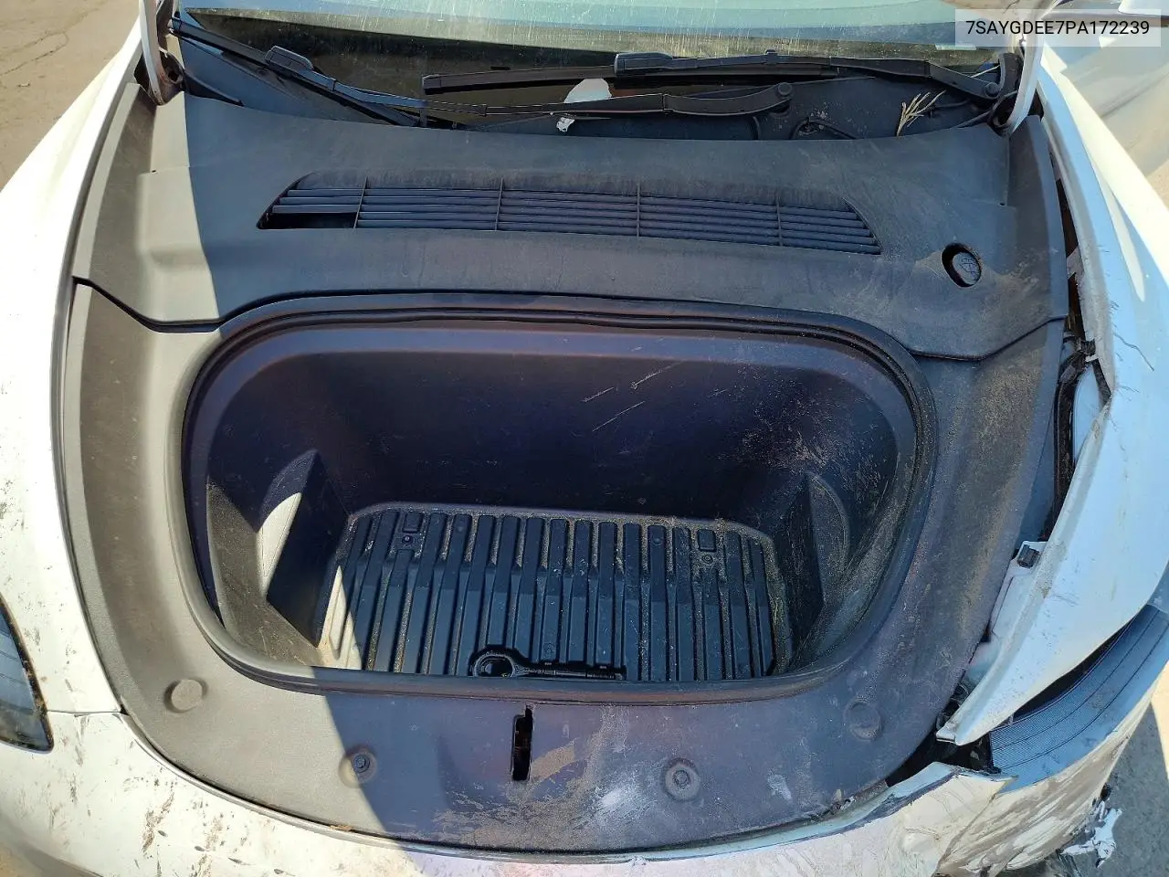 2023 Tesla Model Y VIN: 7SAYGDEE7PA172239 Lot: 61427556