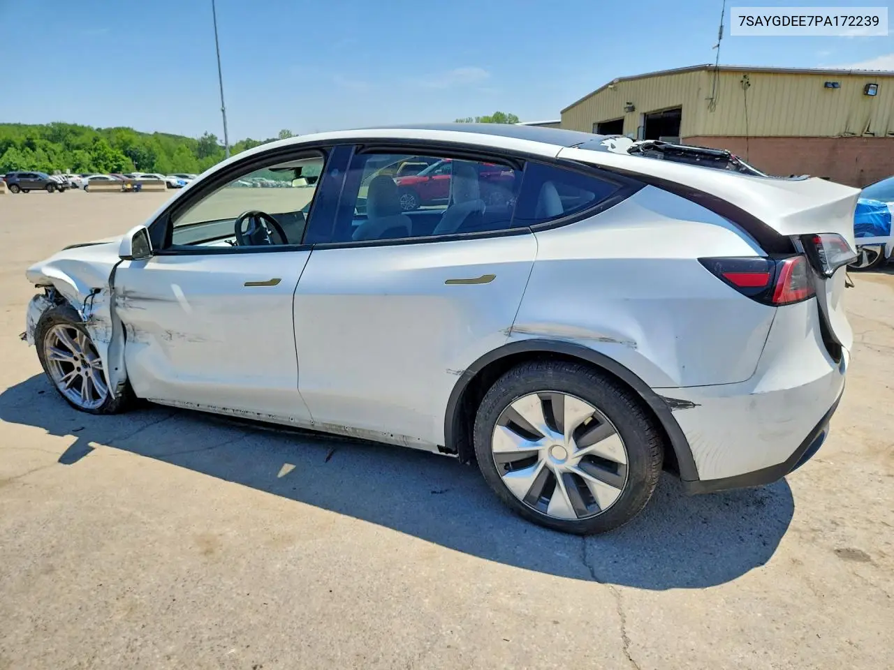 2023 Tesla Model Y VIN: 7SAYGDEE7PA172239 Lot: 61427556