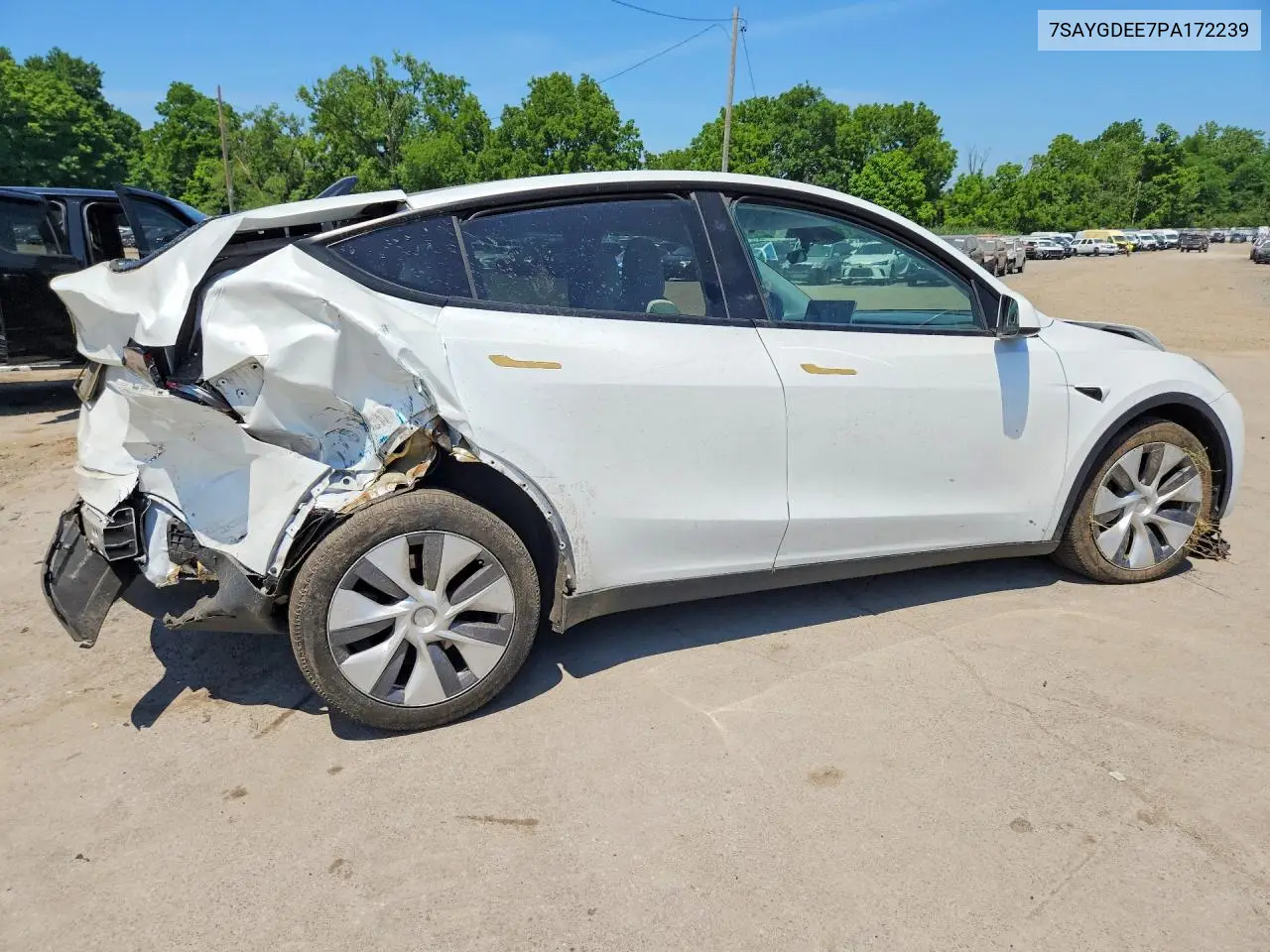 2023 Tesla Model Y VIN: 7SAYGDEE7PA172239 Lot: 61427556