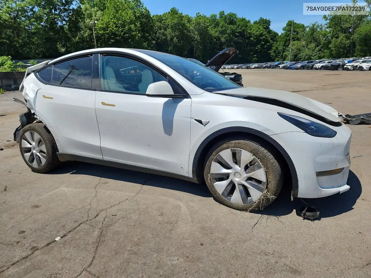 2023 Tesla Model Y VIN: 7SAYGDEE7PA172239 Lot: 61427556