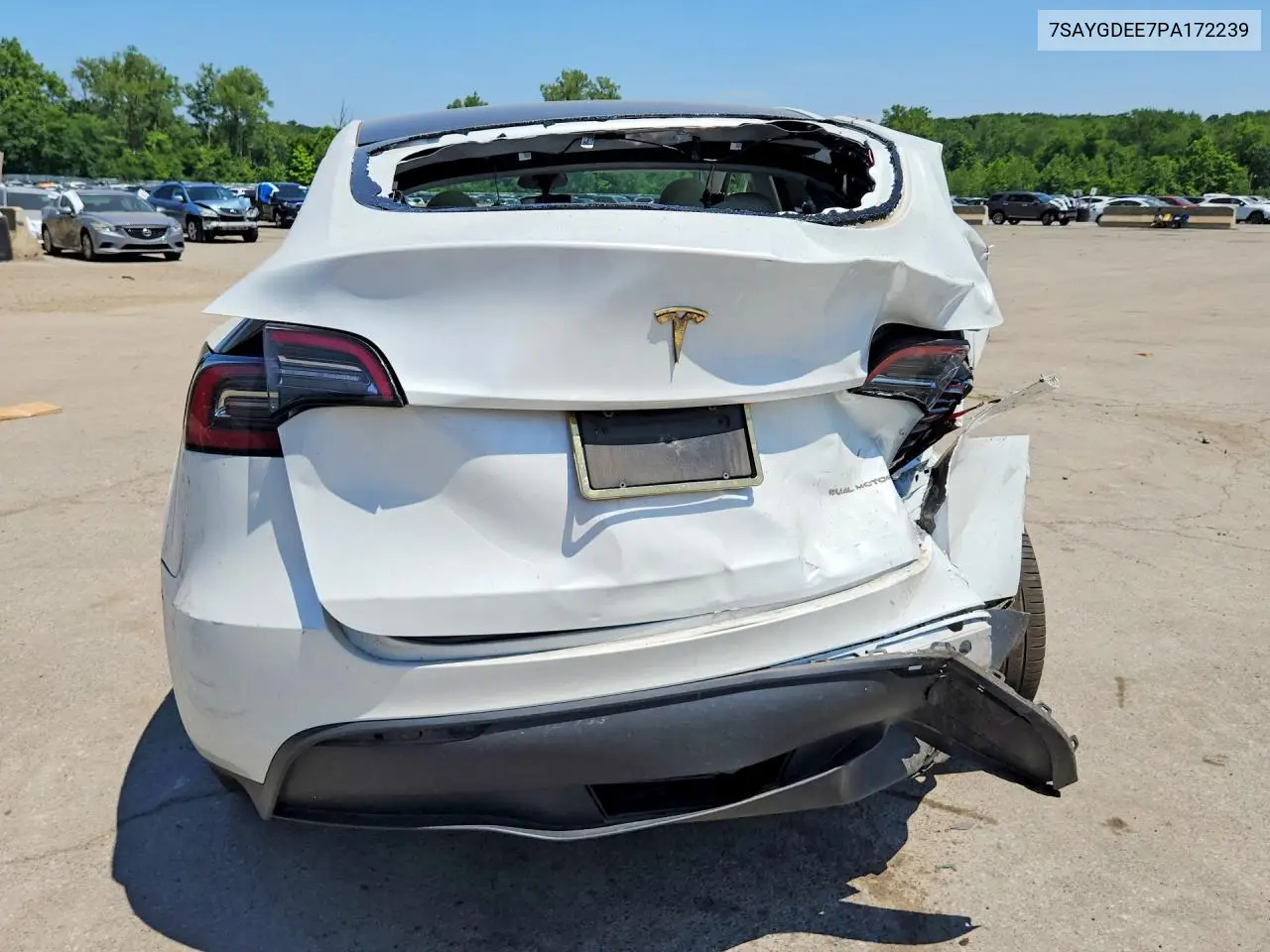 2023 Tesla Model Y VIN: 7SAYGDEE7PA172239 Lot: 61427556