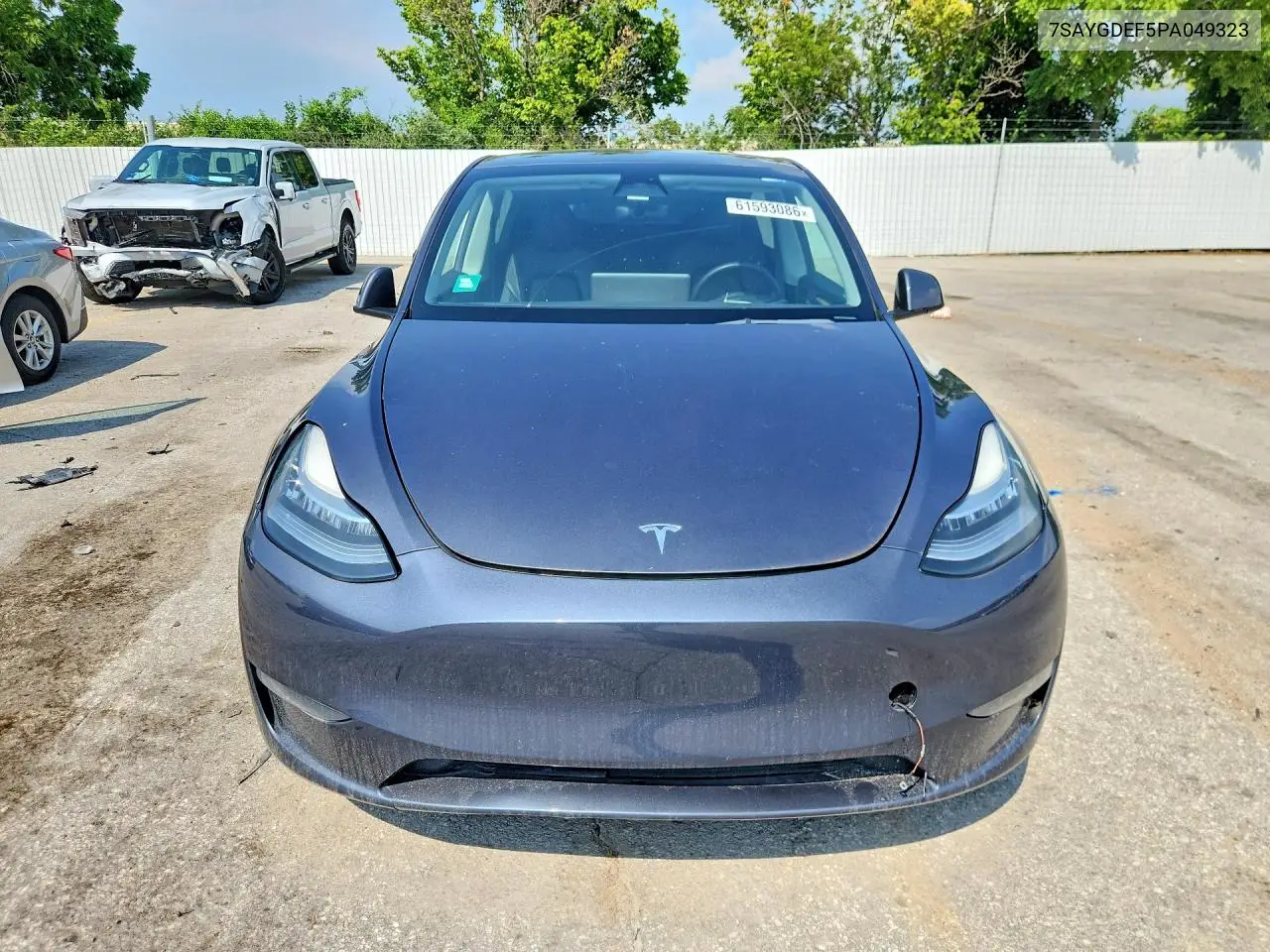 2023 Tesla Model Y VIN: 7SAYGDEF5PA049323 Lot: 61593086
