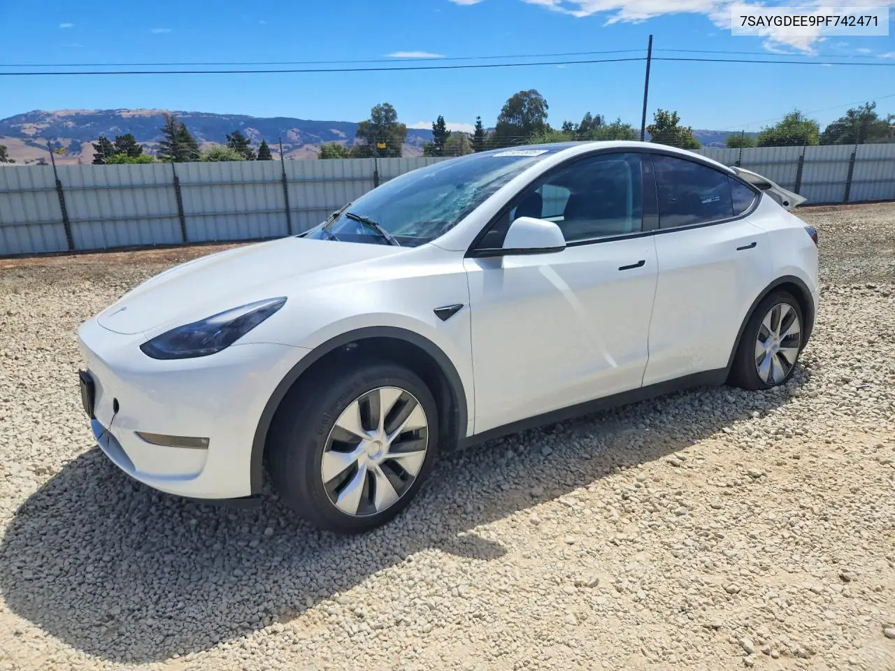 2023 Tesla Model Y VIN: 7SAYGDEE9PF742471 Lot: 61951506