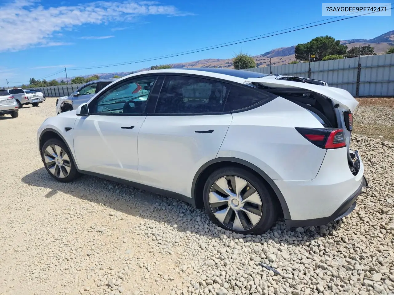 2023 Tesla Model Y VIN: 7SAYGDEE9PF742471 Lot: 61951506