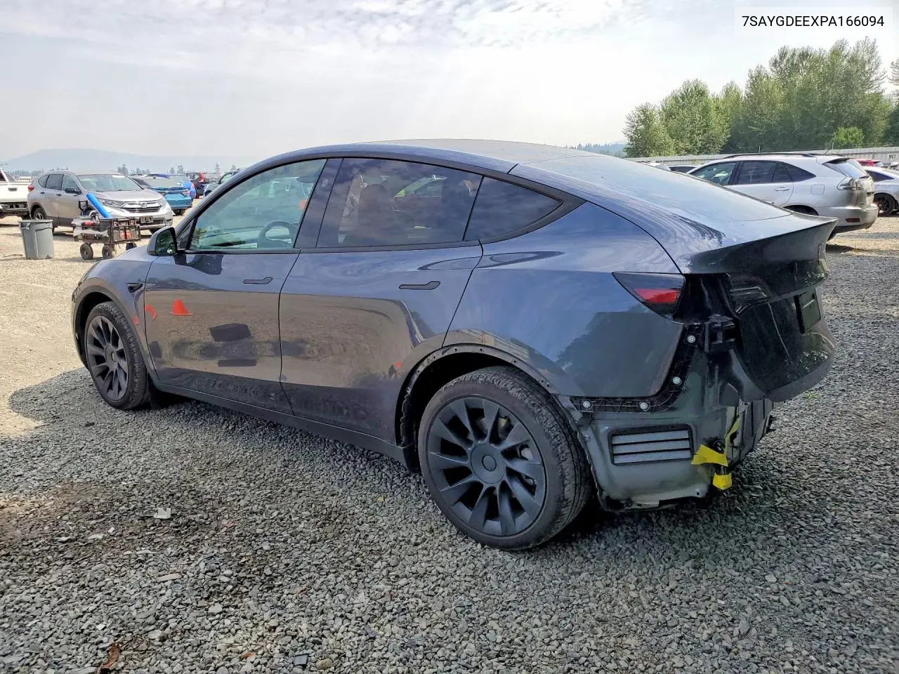 2023 Tesla Model Y VIN: 7SAYGDEEXPA166094 Lot: 61980096