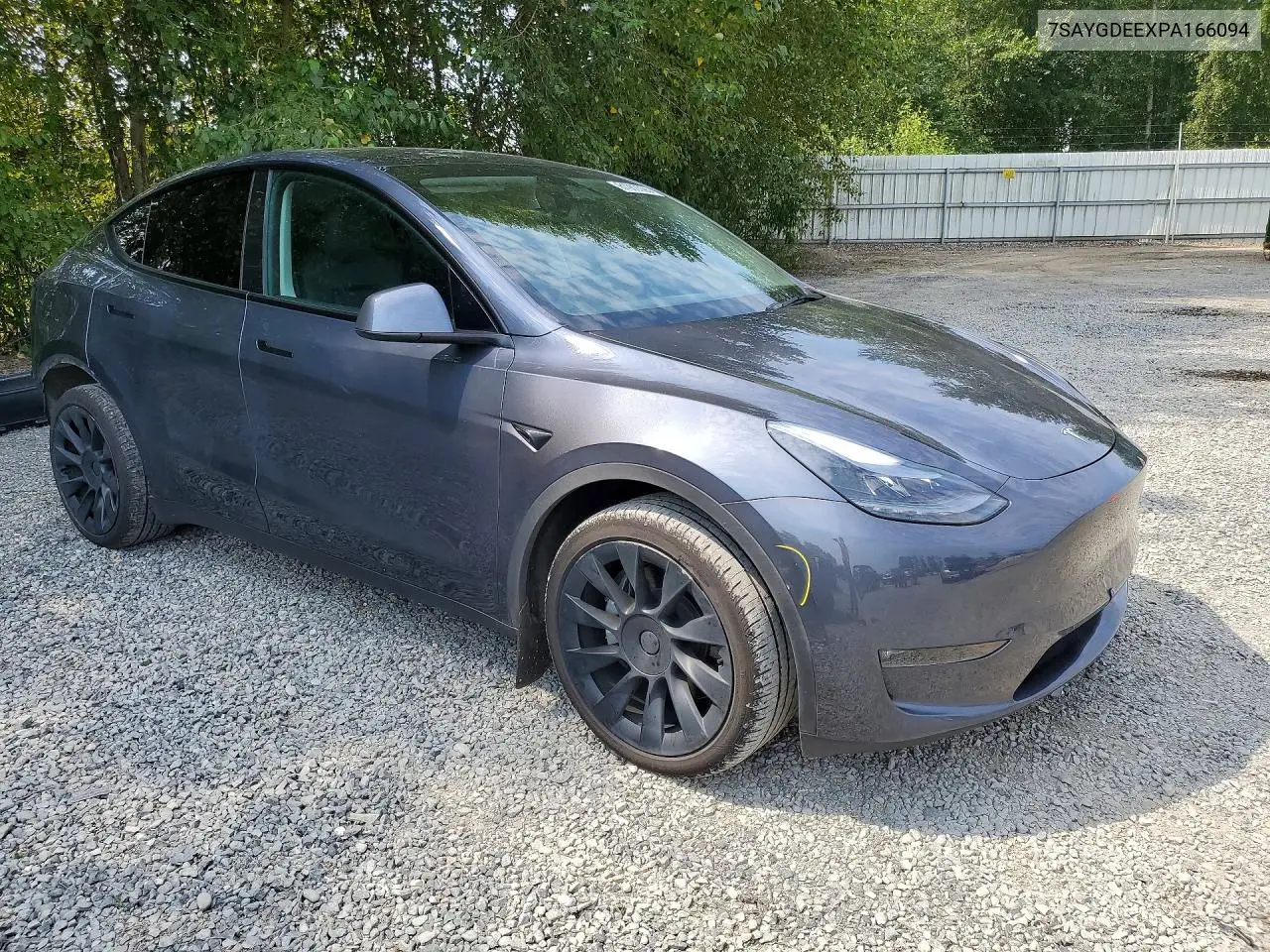 2023 Tesla Model Y VIN: 7SAYGDEEXPA166094 Lot: 61980096