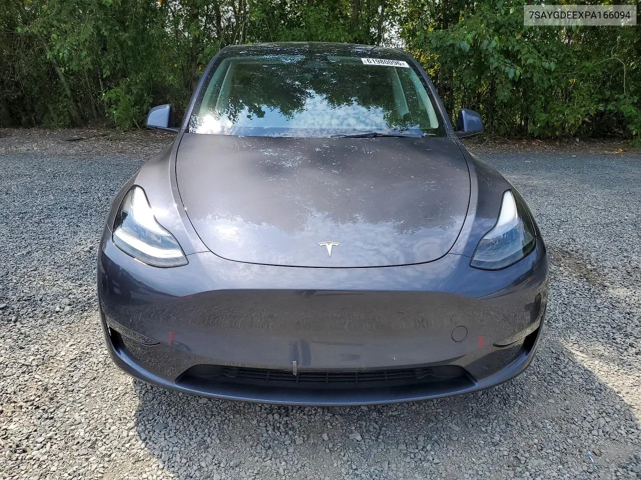 2023 Tesla Model Y VIN: 7SAYGDEEXPA166094 Lot: 61980096