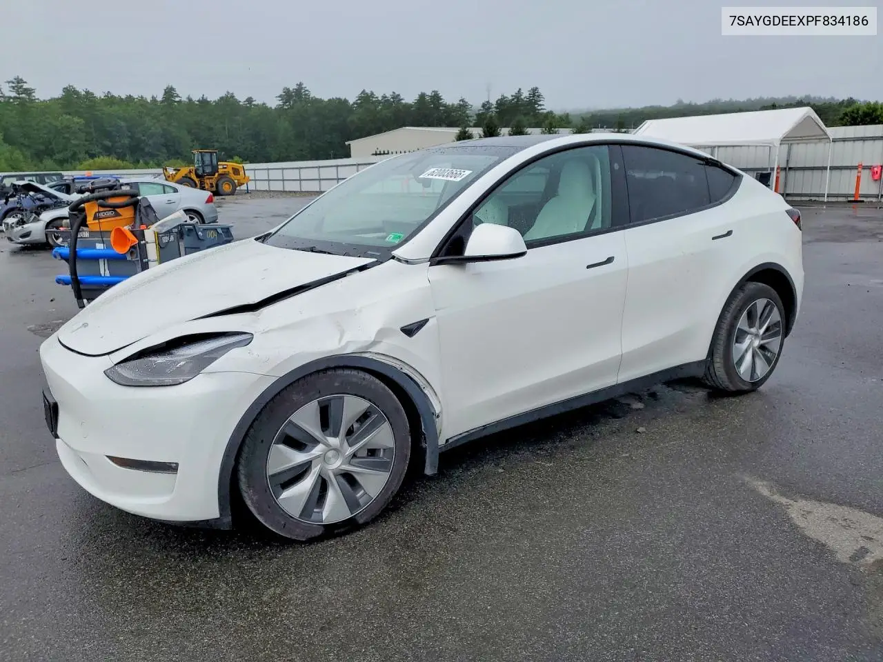 2023 Tesla Model Y VIN: 7SAYGDEEXPF834186 Lot: 62003666
