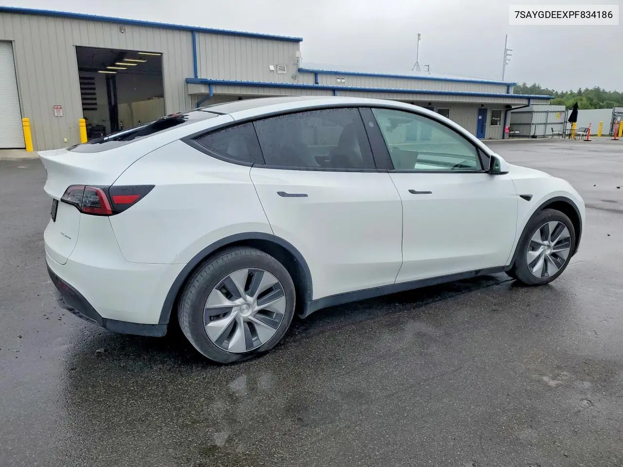 2023 Tesla Model Y VIN: 7SAYGDEEXPF834186 Lot: 62003666