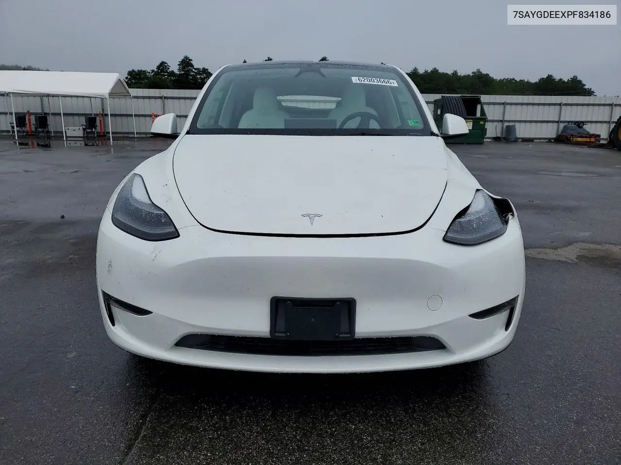 2023 Tesla Model Y VIN: 7SAYGDEEXPF834186 Lot: 62003666