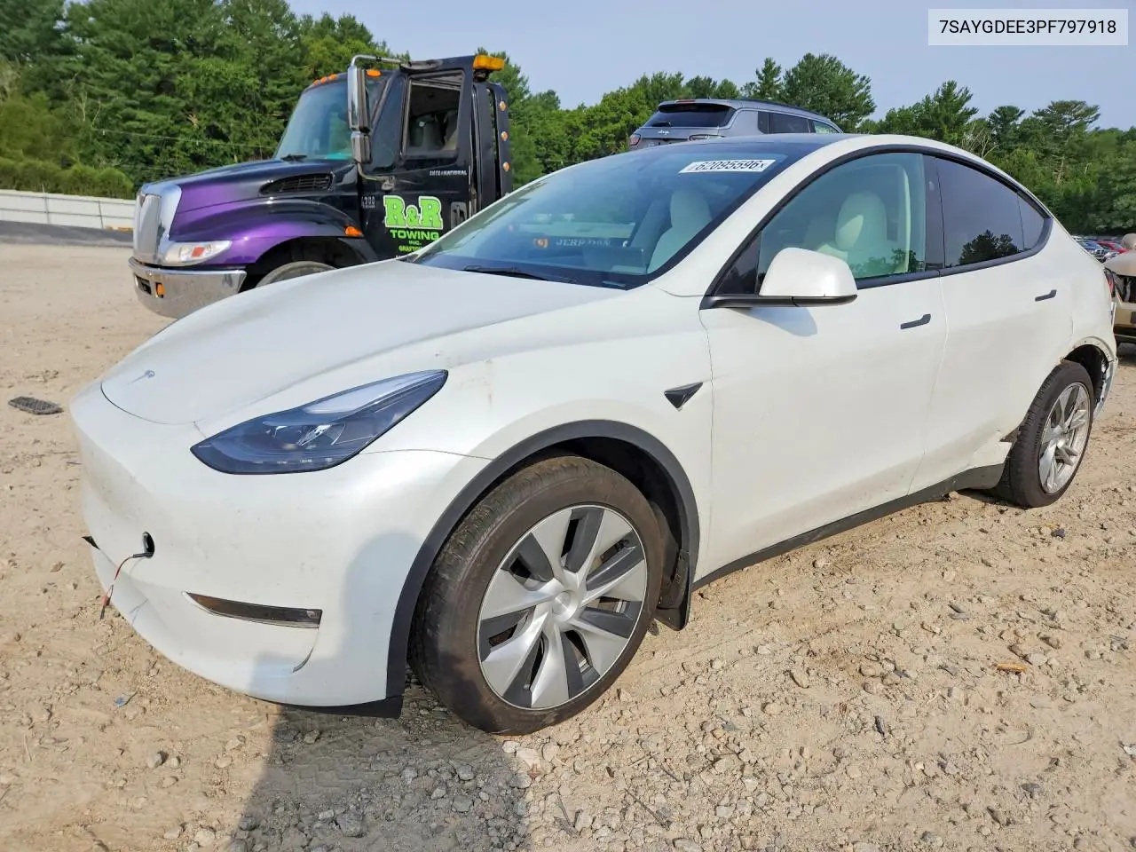 2023 Tesla Model Y VIN: 7SAYGDEE3PF797918 Lot: 62095596