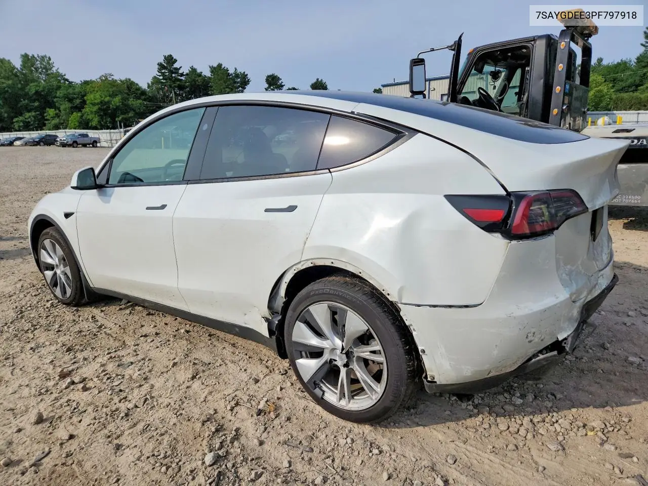 2023 Tesla Model Y VIN: 7SAYGDEE3PF797918 Lot: 62095596