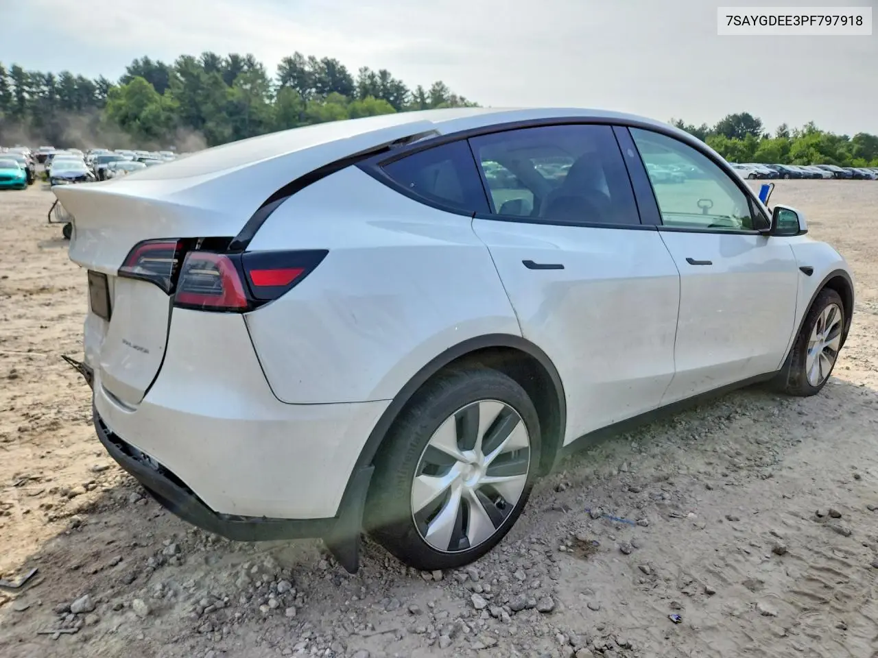 2023 Tesla Model Y VIN: 7SAYGDEE3PF797918 Lot: 62095596