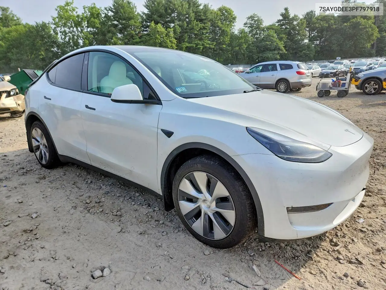 2023 Tesla Model Y VIN: 7SAYGDEE3PF797918 Lot: 62095596