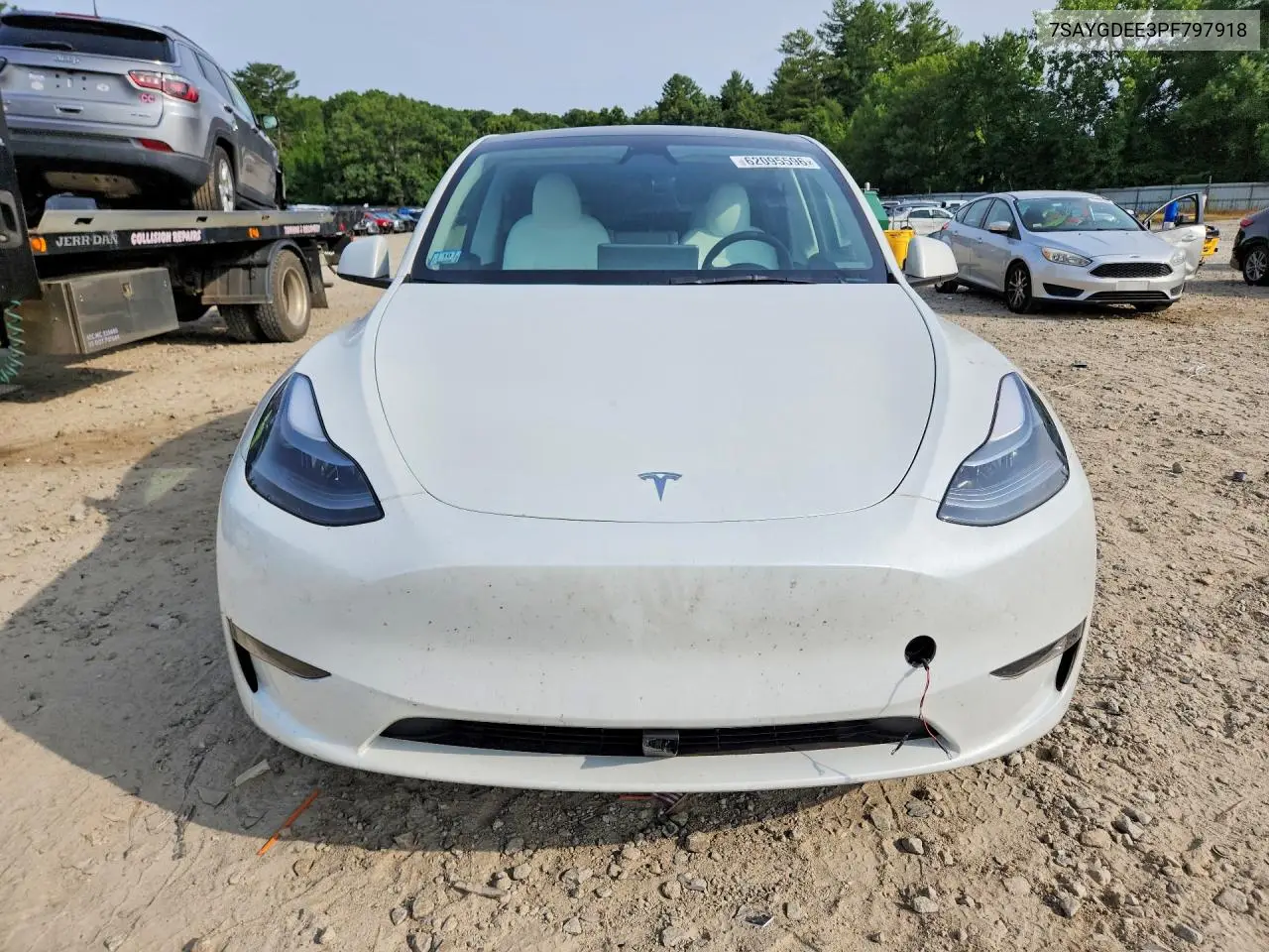 2023 Tesla Model Y VIN: 7SAYGDEE3PF797918 Lot: 62095596