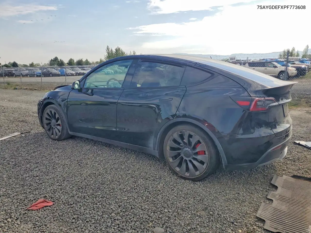 2023 Tesla Model Y VIN: 7SAYGDEFXPF773608 Lot: 62119366