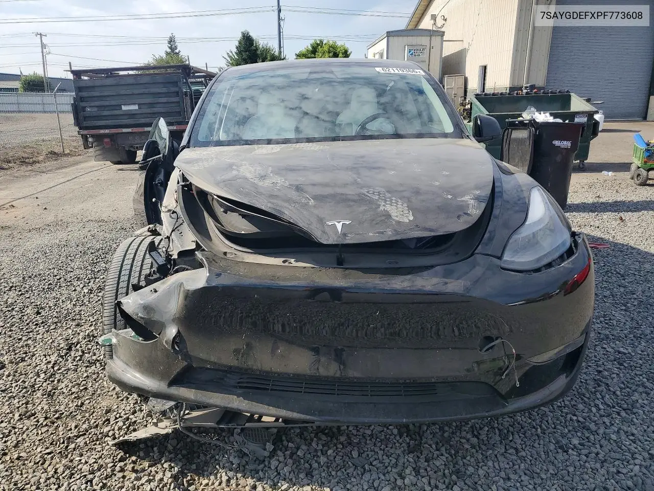 2023 Tesla Model Y VIN: 7SAYGDEFXPF773608 Lot: 62119366