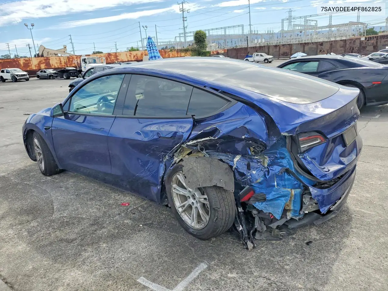 2023 Tesla Model Y VIN: 7SAYGDEE4PF862825 Lot: 62171656