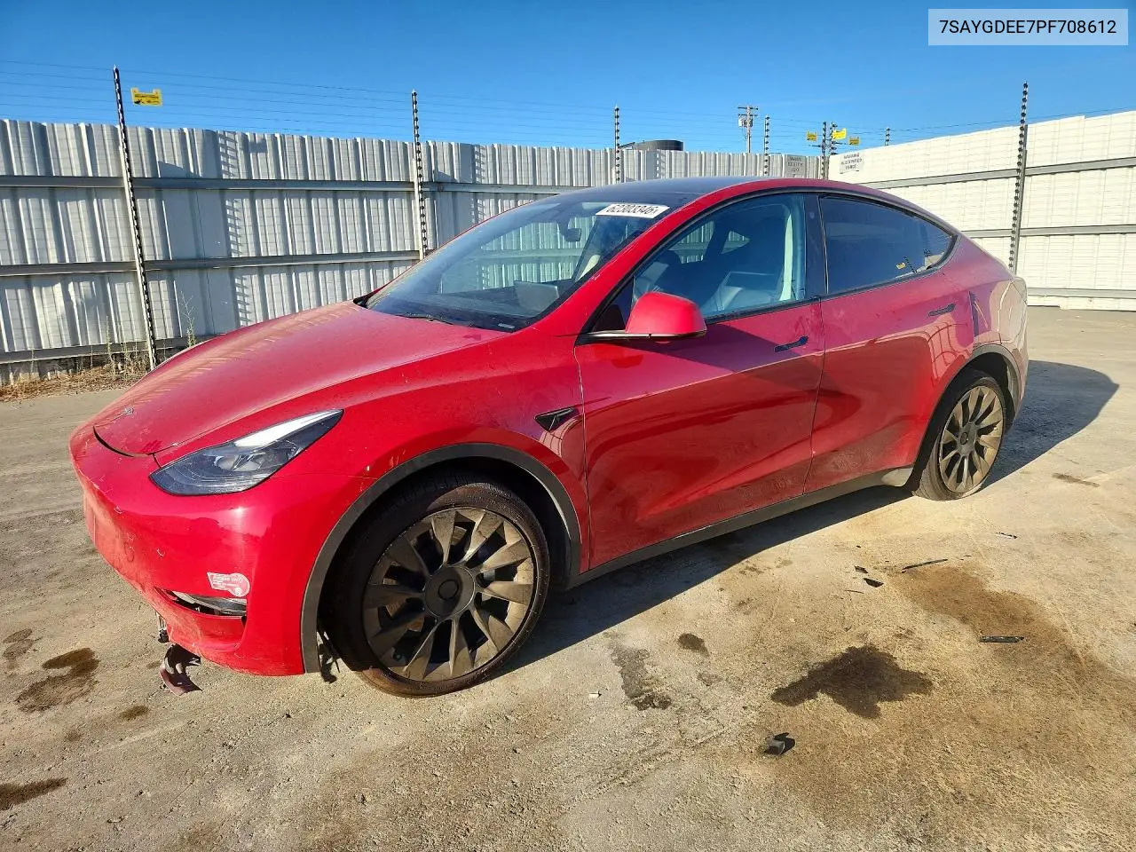 2023 Tesla Model Y VIN: 7SAYGDEE7PF708612 Lot: 62303346