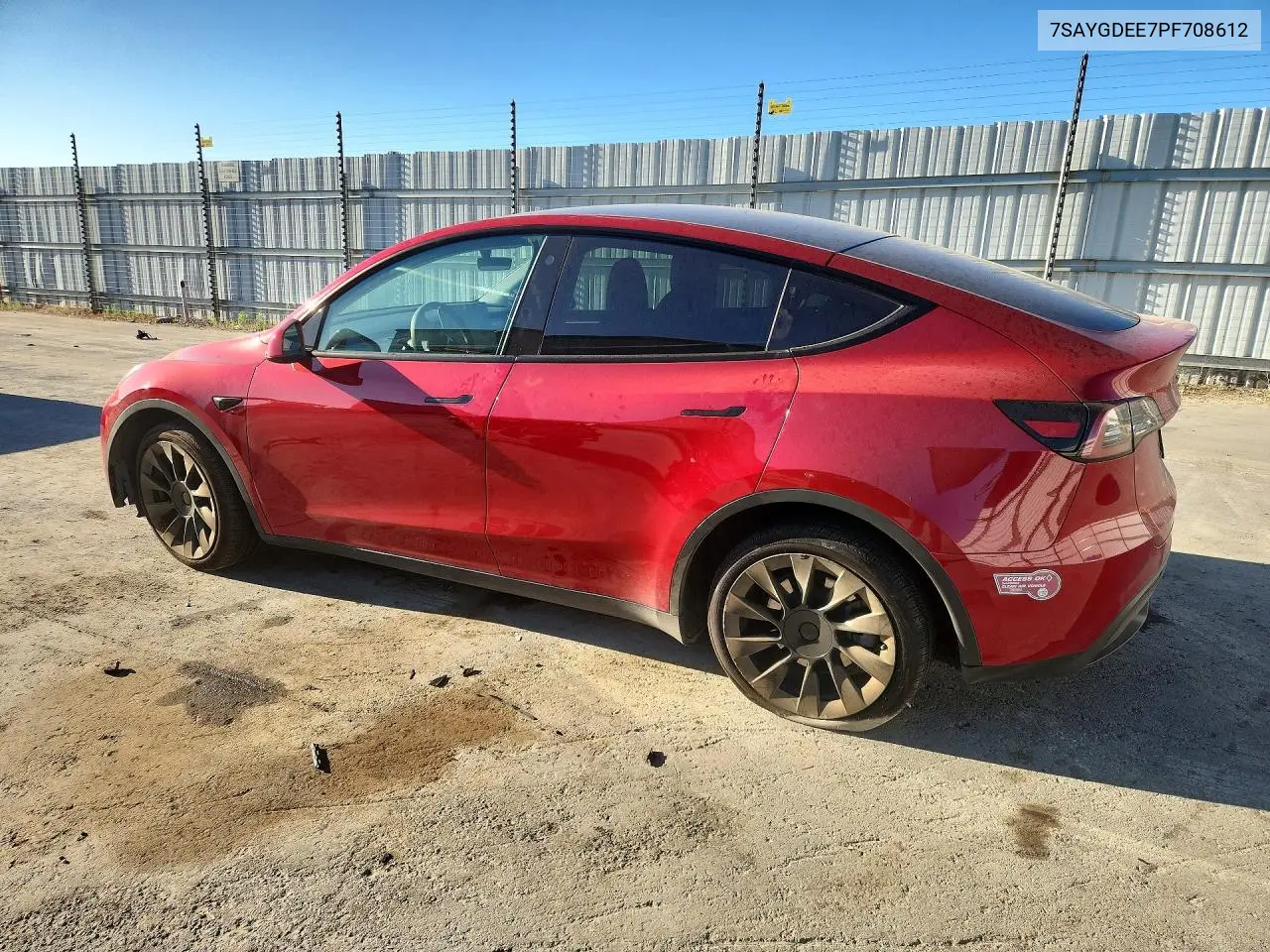 2023 Tesla Model Y VIN: 7SAYGDEE7PF708612 Lot: 62303346