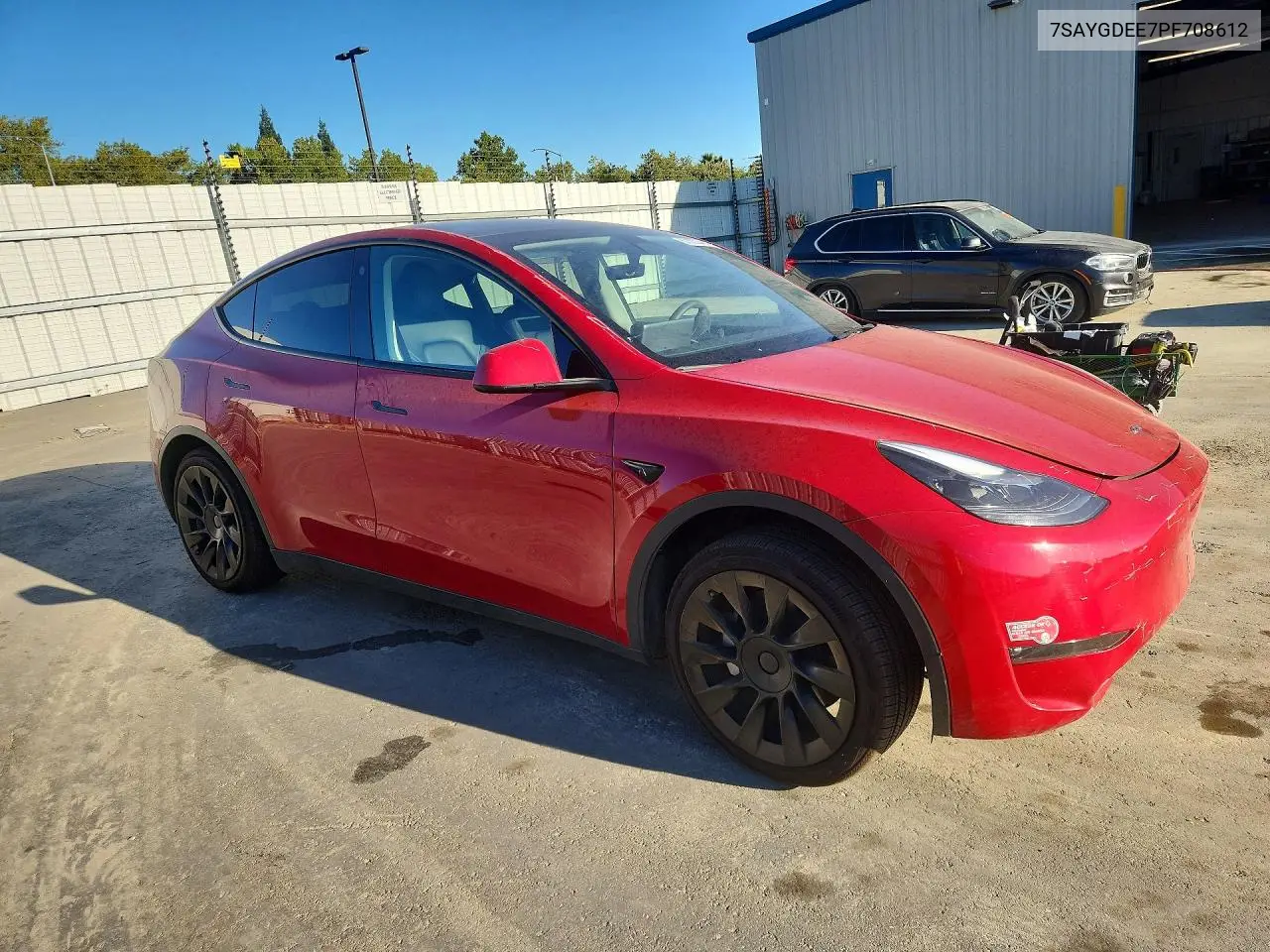 2023 Tesla Model Y VIN: 7SAYGDEE7PF708612 Lot: 62303346