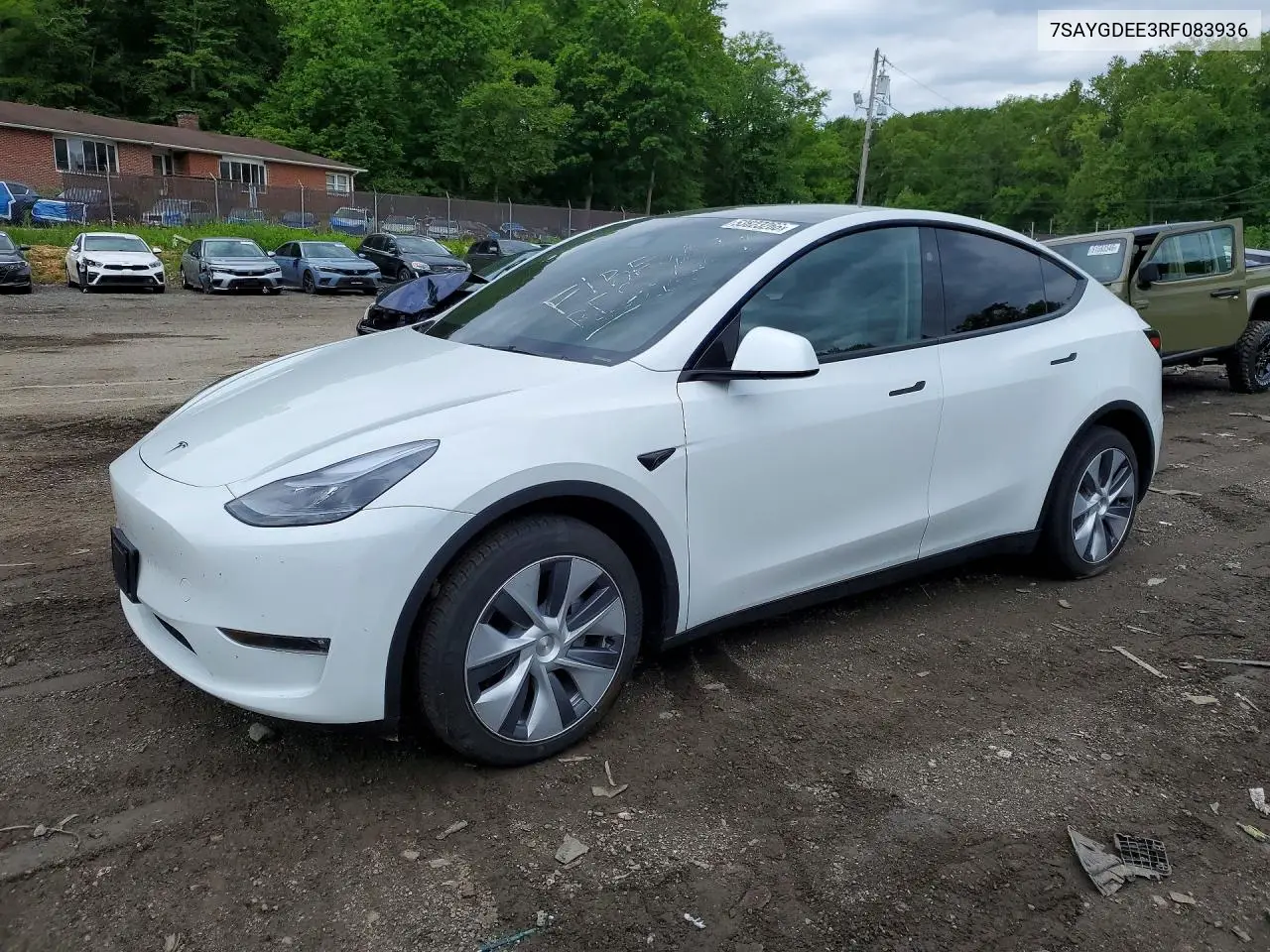 2024 Tesla Model Y VIN: 7SAYGDEE3RF083936 Lot: 53823266