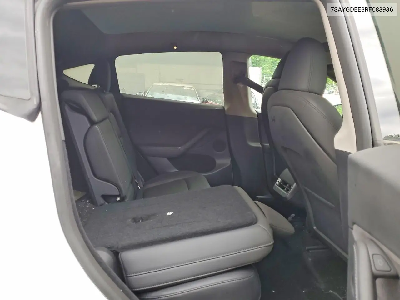 2024 Tesla Model Y VIN: 7SAYGDEE3RF083936 Lot: 53823266