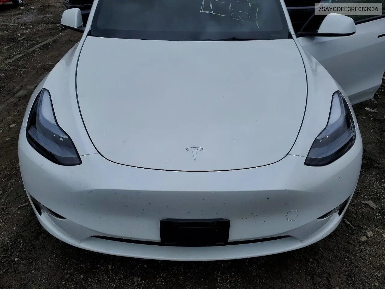 2024 Tesla Model Y VIN: 7SAYGDEE3RF083936 Lot: 53823266