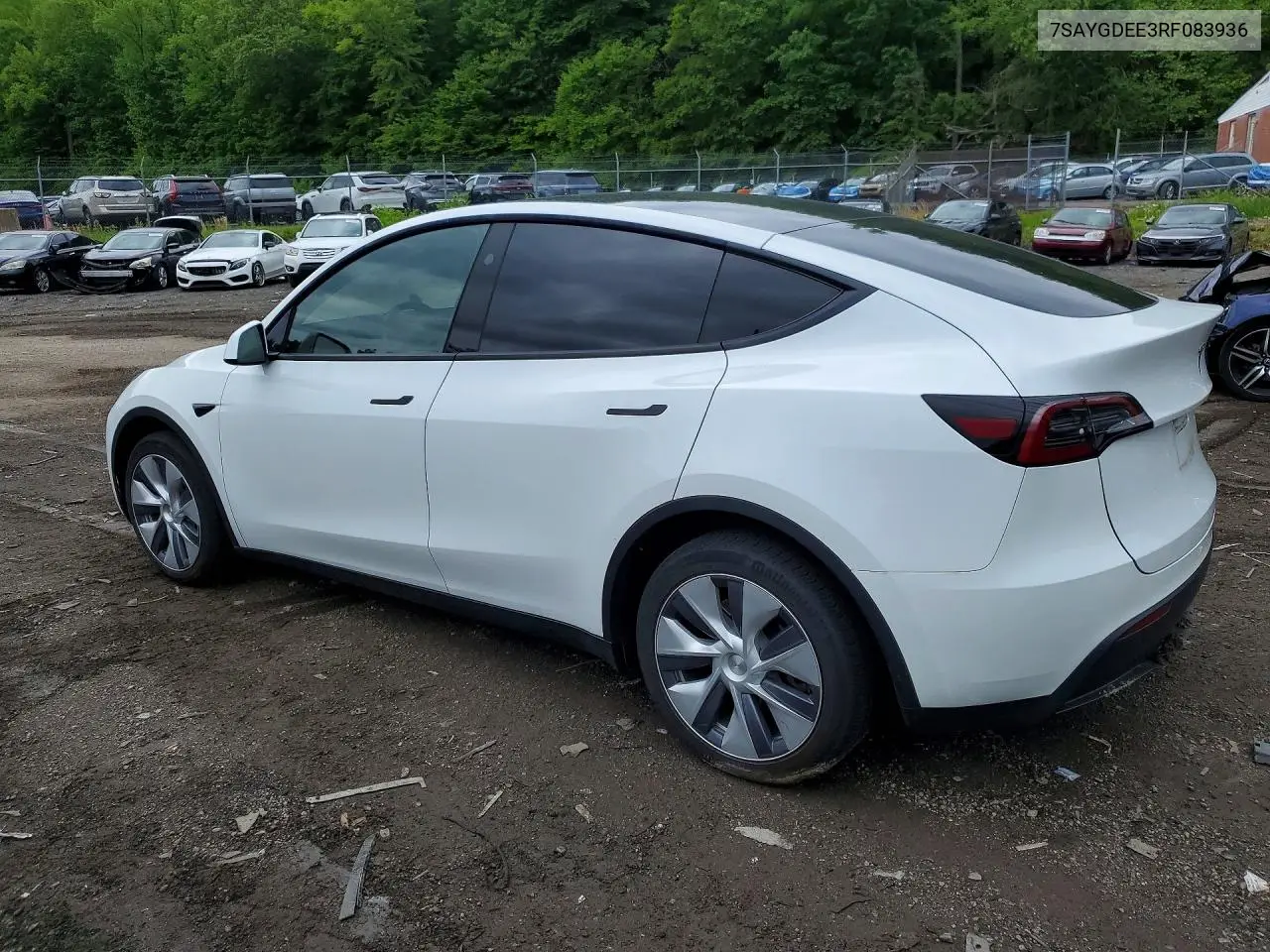 2024 Tesla Model Y VIN: 7SAYGDEE3RF083936 Lot: 53823266