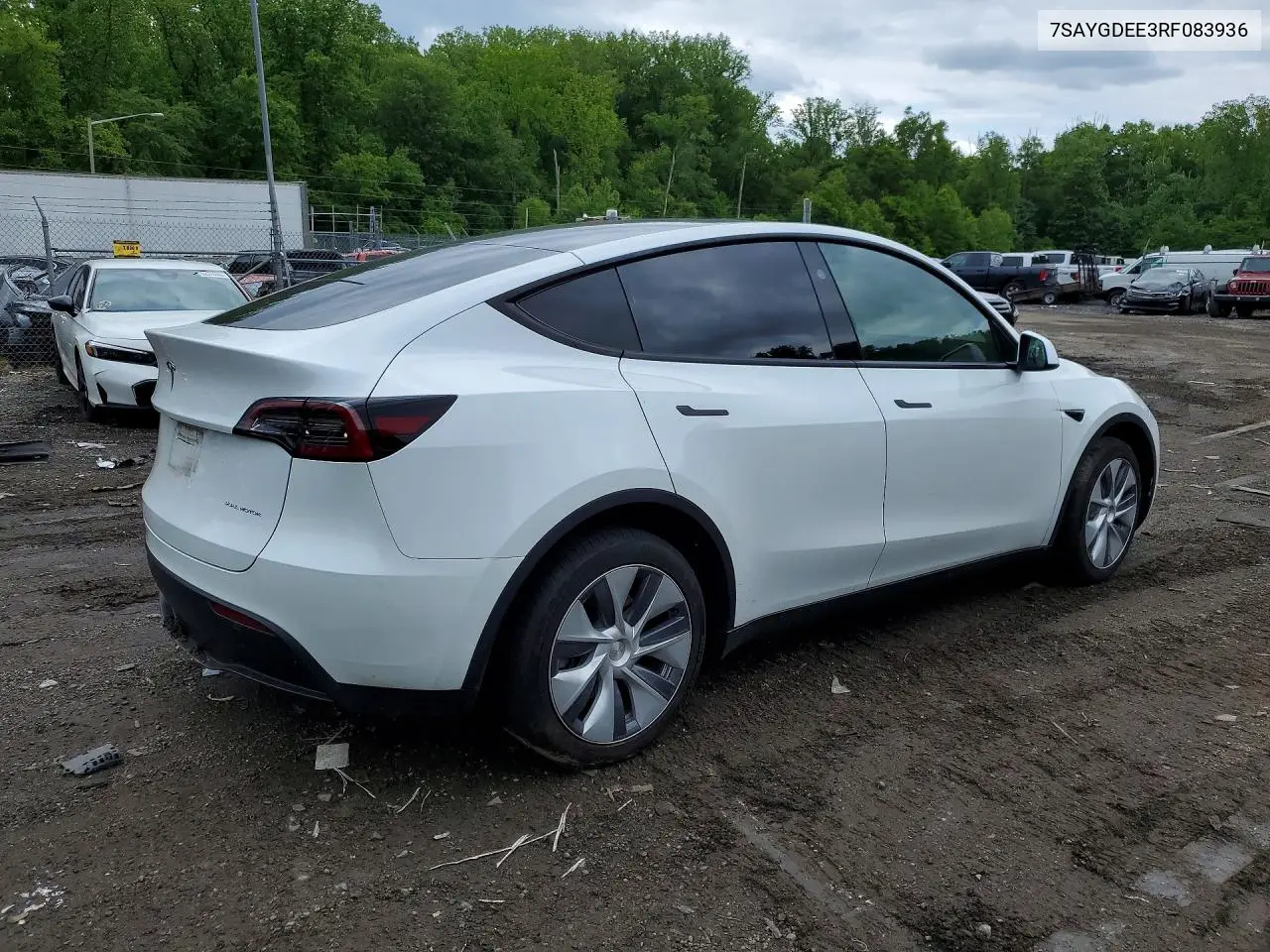 2024 Tesla Model Y VIN: 7SAYGDEE3RF083936 Lot: 53823266