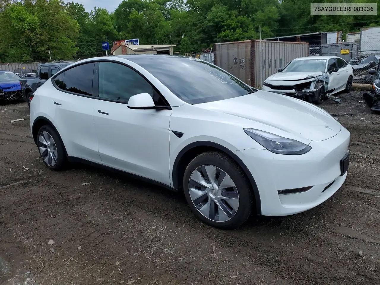 2024 Tesla Model Y VIN: 7SAYGDEE3RF083936 Lot: 53823266