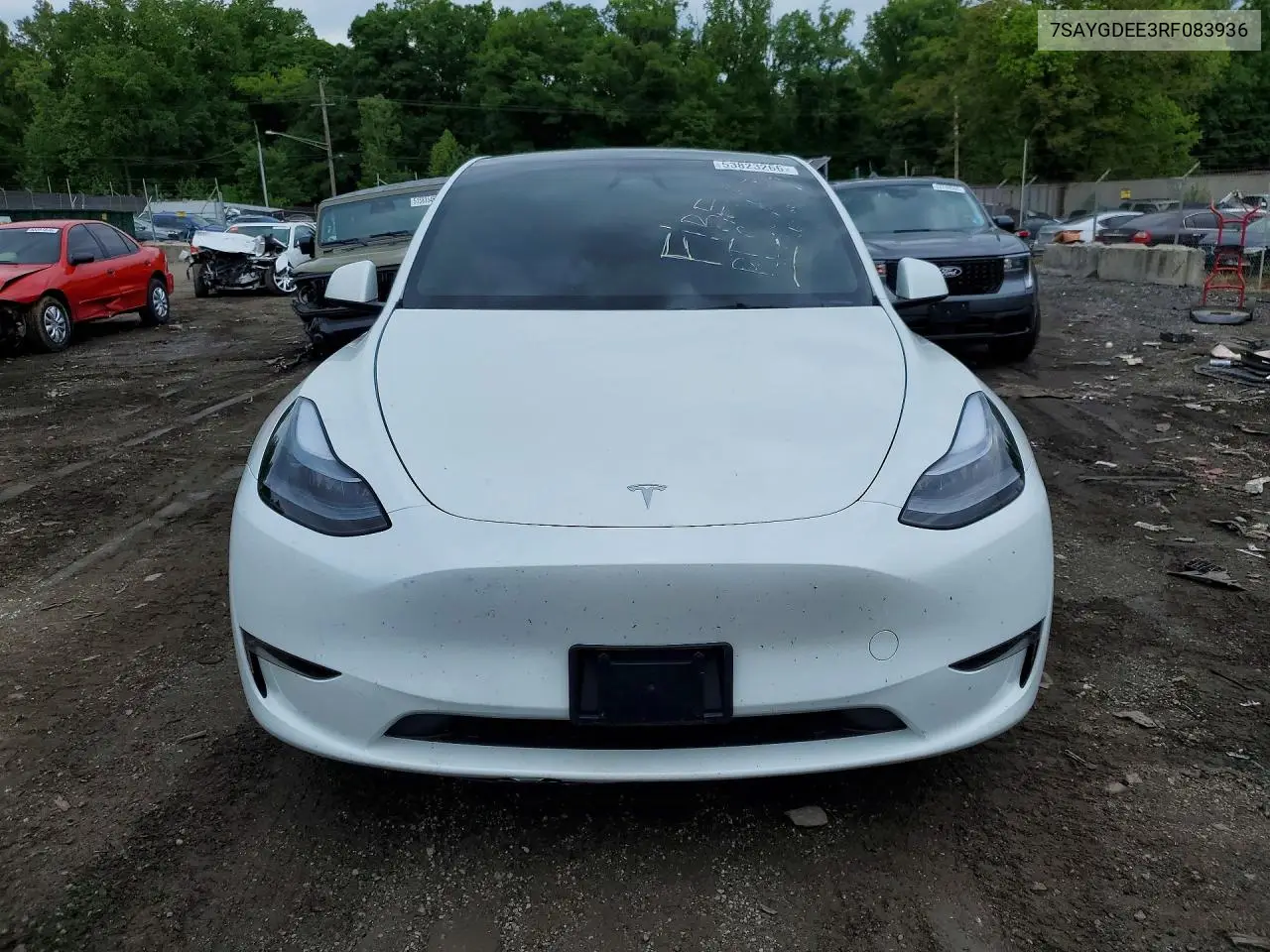 2024 Tesla Model Y VIN: 7SAYGDEE3RF083936 Lot: 53823266