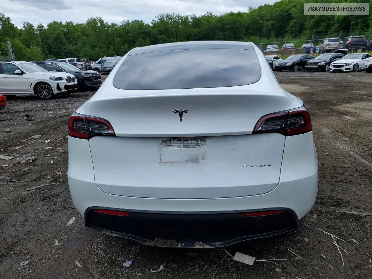 2024 Tesla Model Y VIN: 7SAYGDEE3RF083936 Lot: 53823266