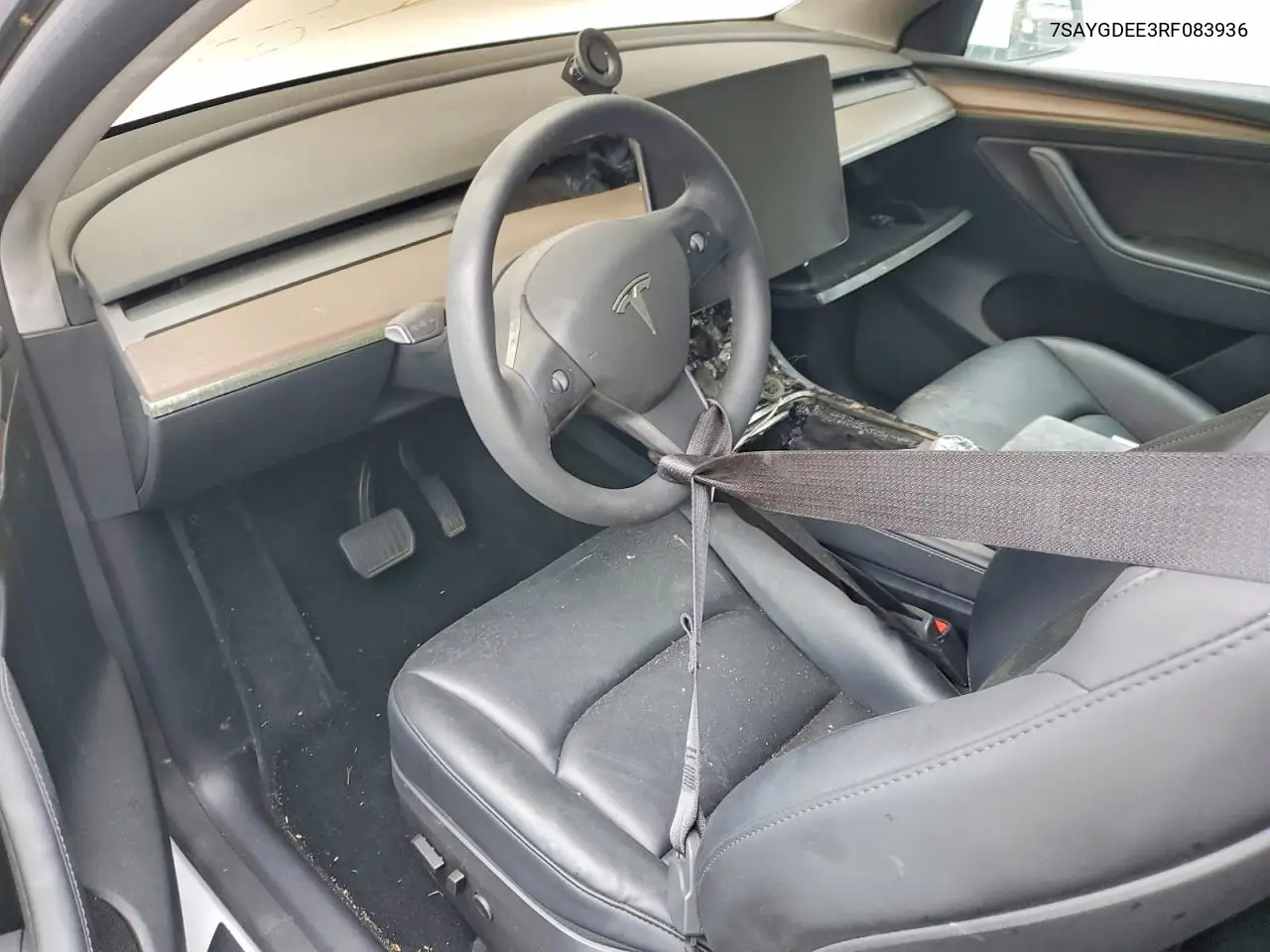 2024 Tesla Model Y VIN: 7SAYGDEE3RF083936 Lot: 53823266