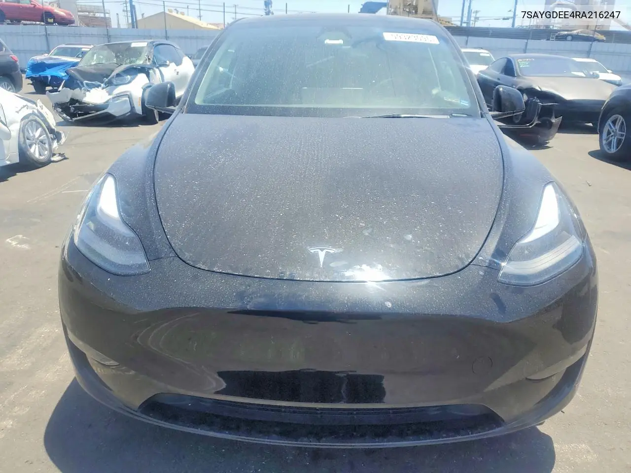 2024 Tesla Model Y VIN: 7SAYGDEE4RA216247 Lot: 59323096