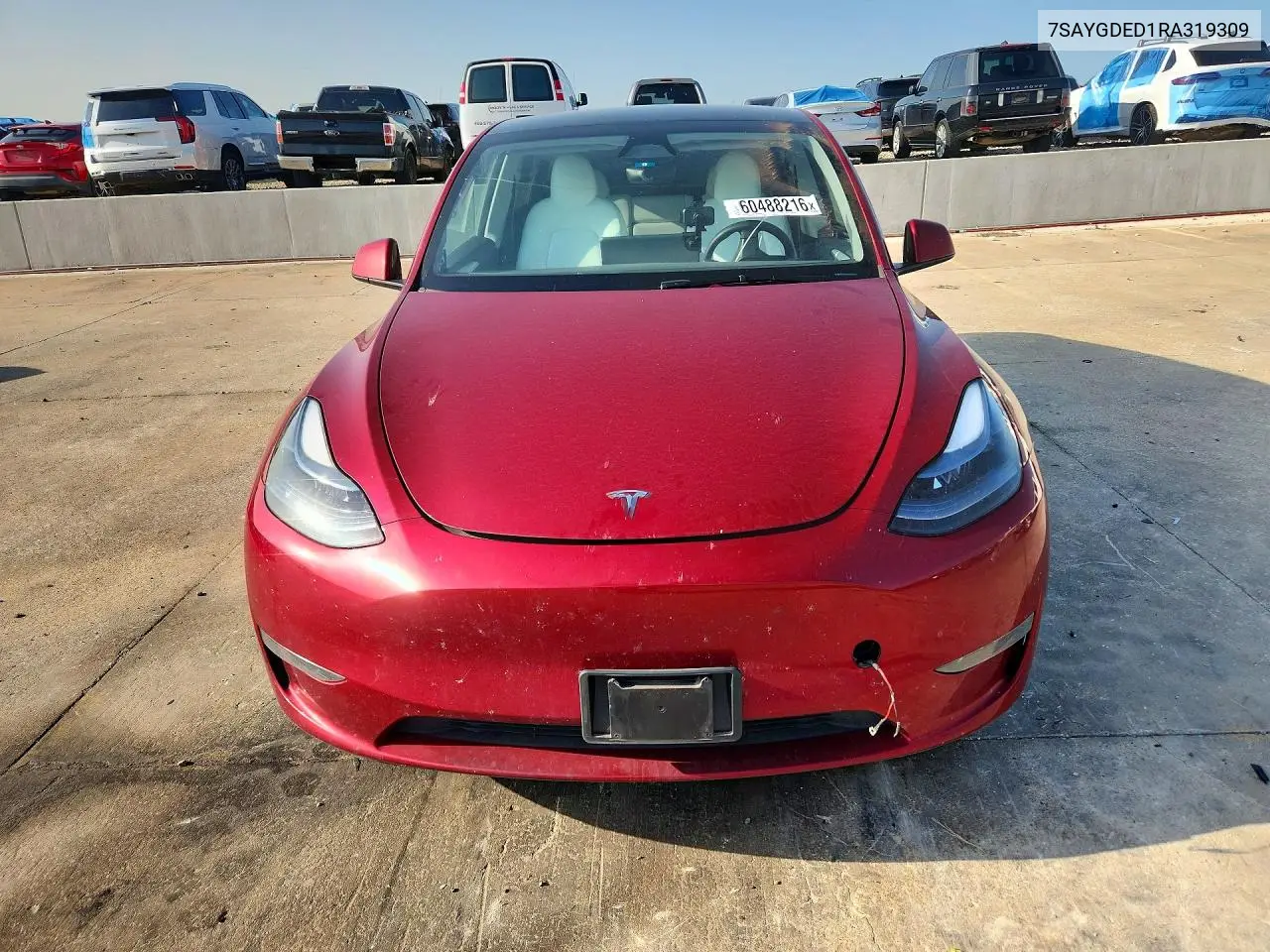 2024 Tesla Model Y VIN: 7SAYGDED1RA319309 Lot: 60488216
