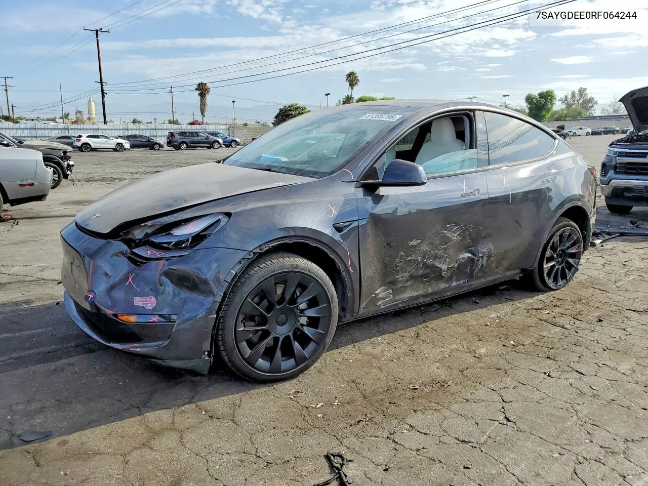2024 Tesla Model Y VIN: 7SAYGDEE0RF064244 Lot: 61308796