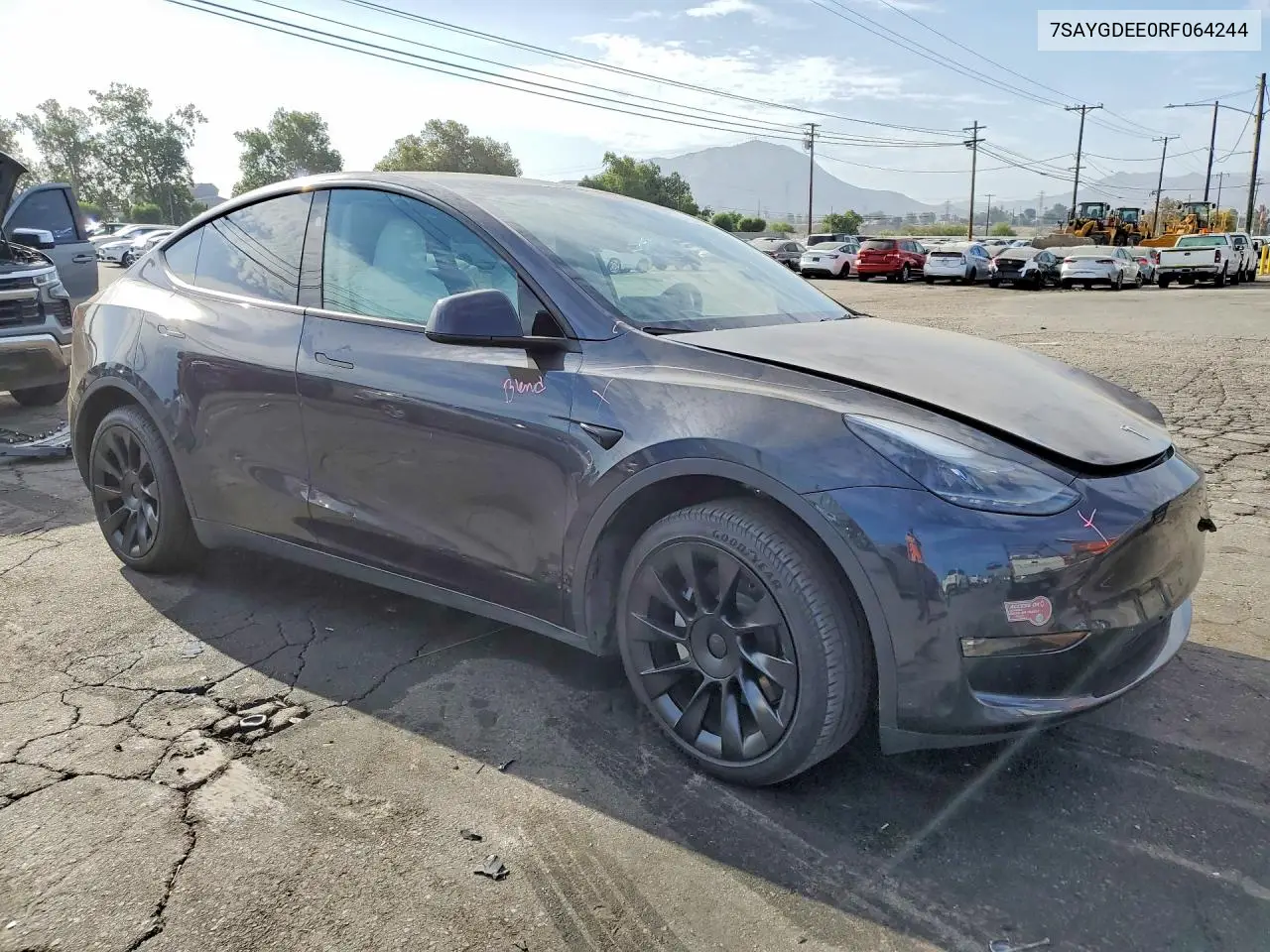 2024 Tesla Model Y VIN: 7SAYGDEE0RF064244 Lot: 61308796