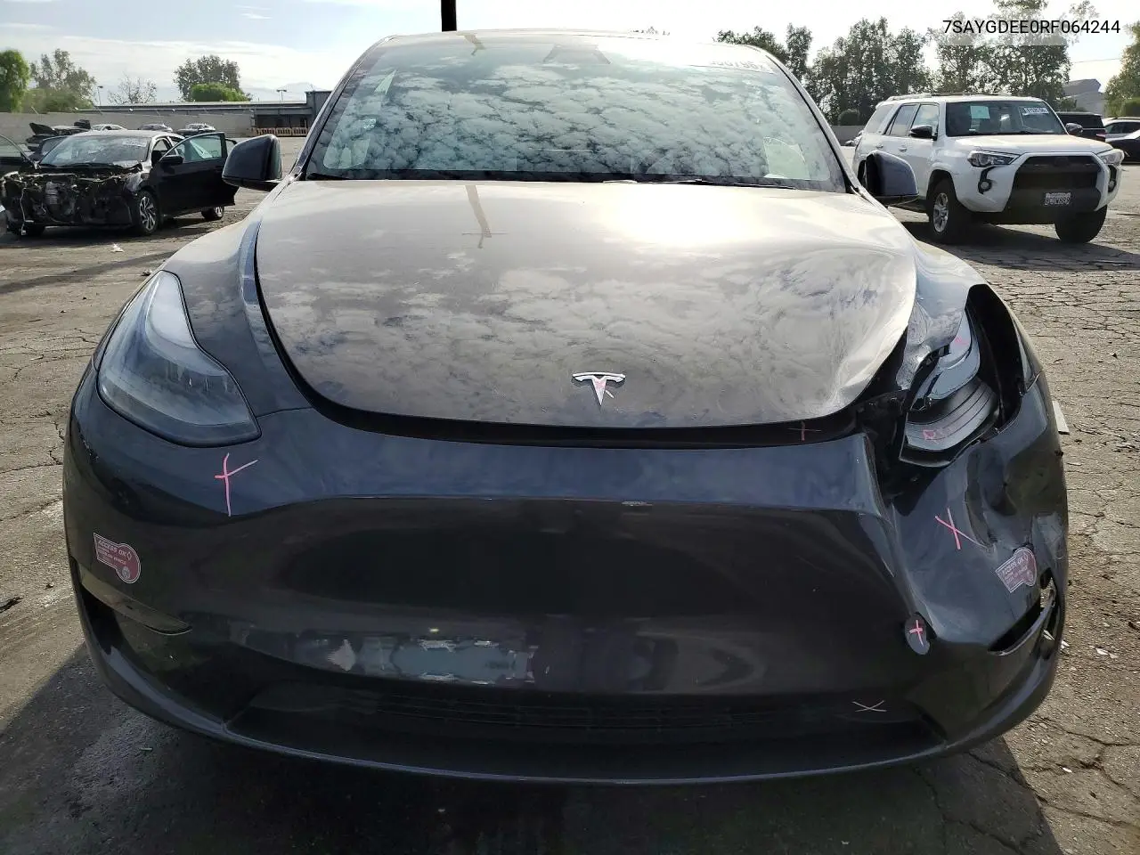 2024 Tesla Model Y VIN: 7SAYGDEE0RF064244 Lot: 61308796