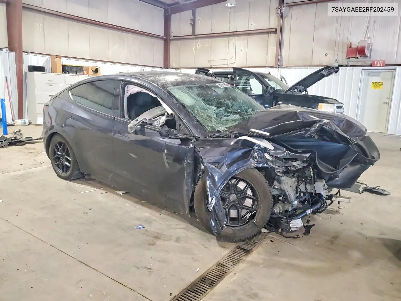2024 Tesla Model Y VIN: 7SAYGAEE2RF202459 Lot: 61391526