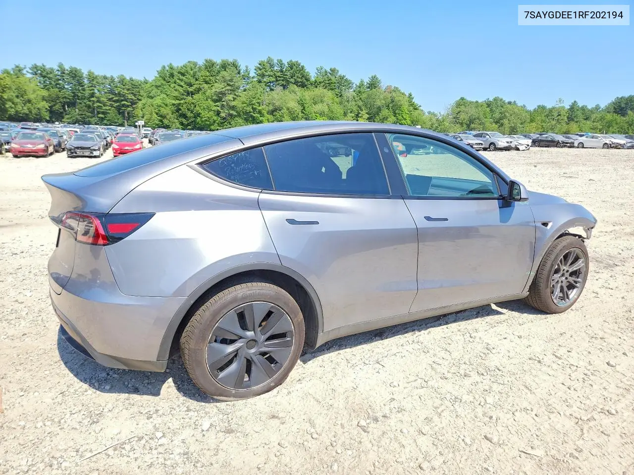 2024 Tesla Model Y VIN: 7SAYGDEE1RF202194 Lot: 61403416