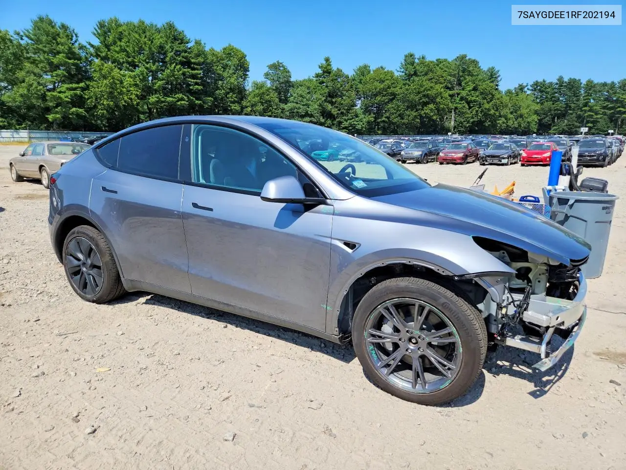 2024 Tesla Model Y VIN: 7SAYGDEE1RF202194 Lot: 61403416