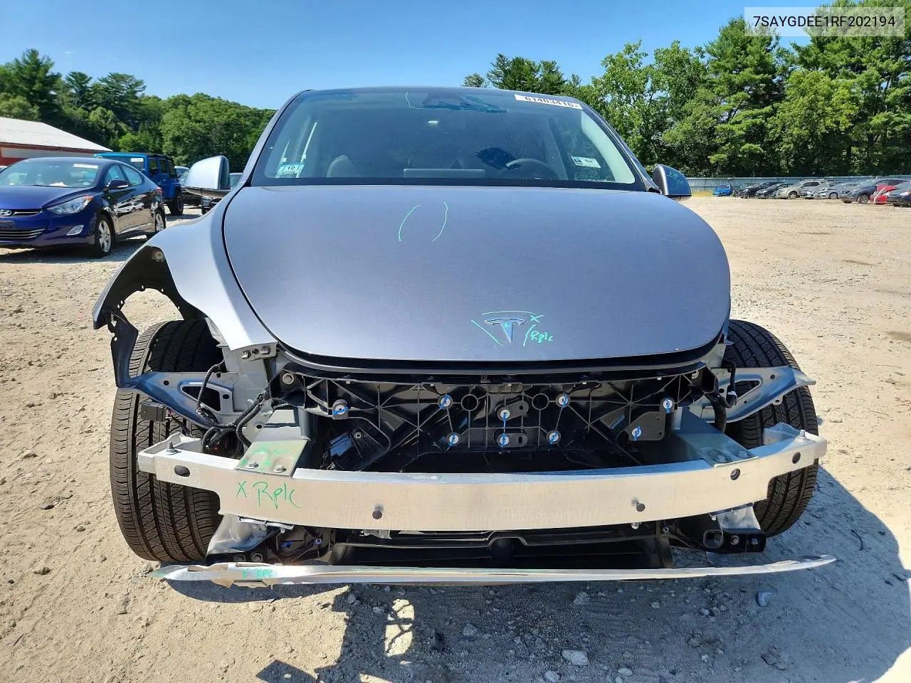 2024 Tesla Model Y VIN: 7SAYGDEE1RF202194 Lot: 61403416